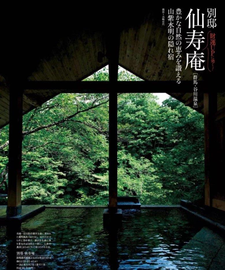 家庭盆栽“百合花”怎么种？